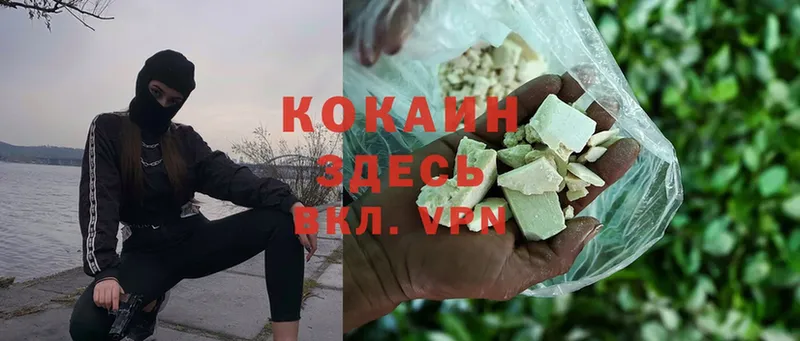 Cocaine Fish Scale  продажа наркотиков  Каргат 